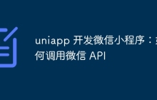 uniapp 开发微信小程序：如何调用微信 API