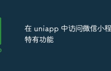 在 uniapp 中访问微信小程序特有功能