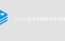 Redis 版本号查看命令详解