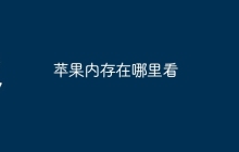 苹果内存在哪里看