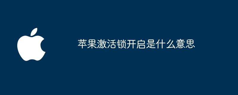 苹果激活锁开启是什么意思