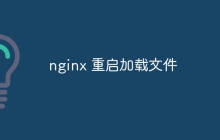nginx 重启加载文件