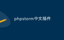 phpstorm中文插件