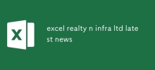 Excel Realty n Infra 有限公司最新消息