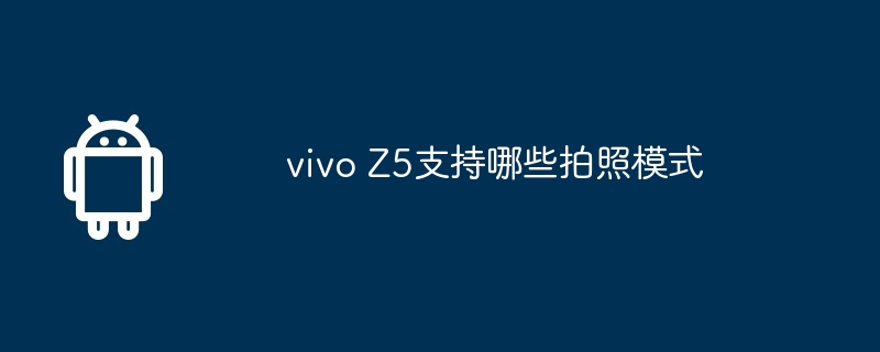 vivo Z5支持哪些拍照模式