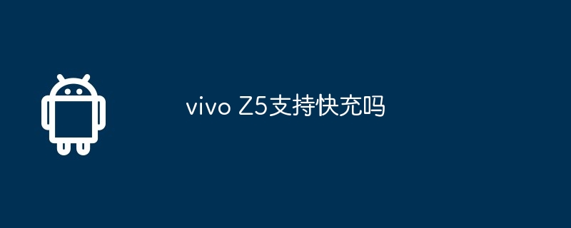 vivo Z5支持快充吗