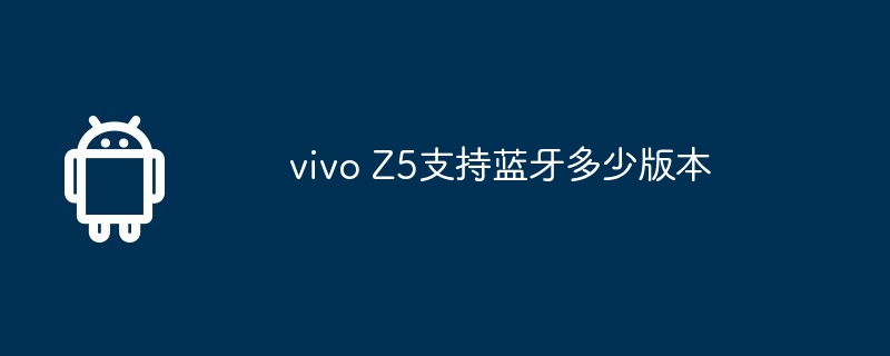 vivo Z5支持蓝牙多少版本