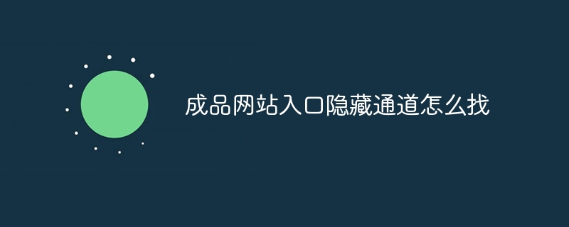 成品网站入口隐藏通道怎么找