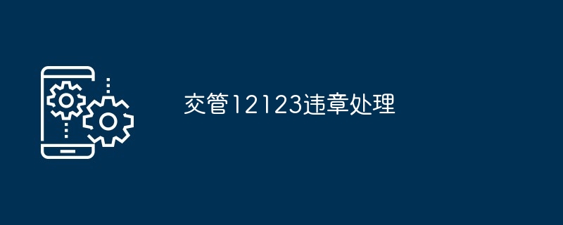 交管12123违章处理