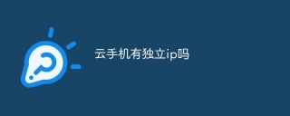 云手机有独立ip吗