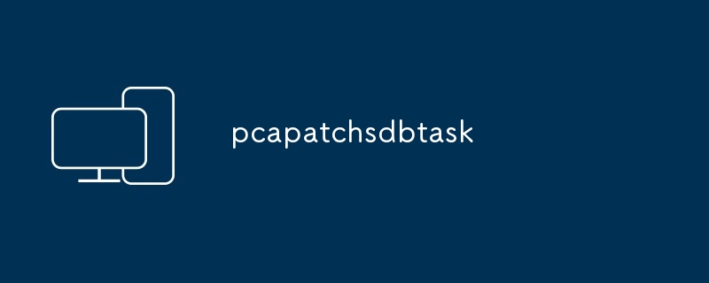 pcapatchsdb작업