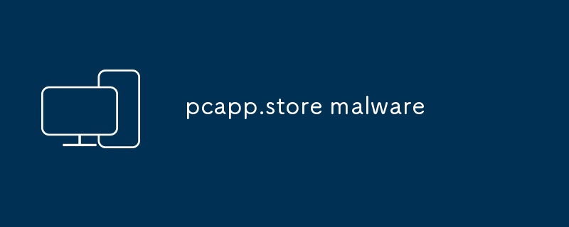 pcapp.store 악성 코드