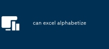 can excel alphabetize