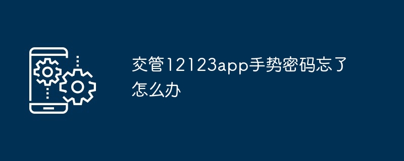 交管12123app手势密码忘了怎么办