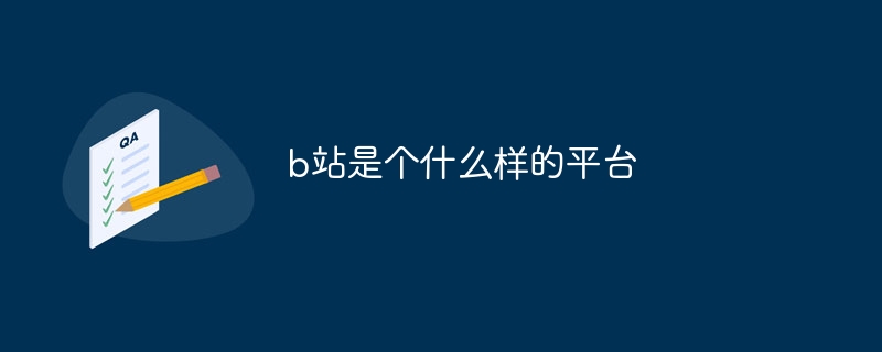 b站是個什么樣的平臺