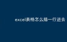 excel表格怎么插一行进去