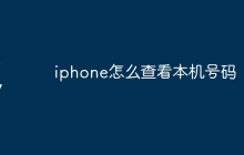 iphone怎么查看本机号码