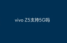 vivo Z5支持5G吗