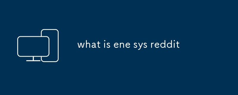 ene sys reddit이 뭐야?