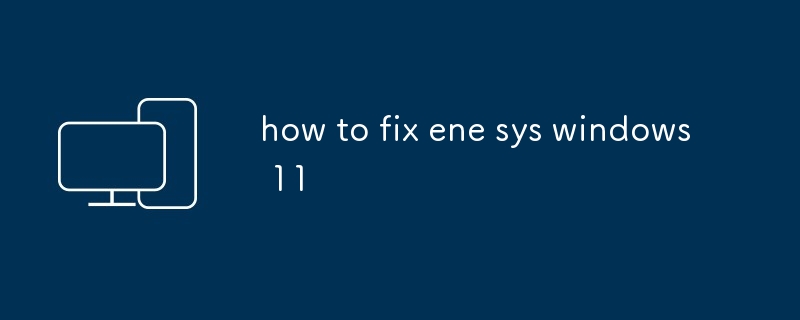 ene sys windows 11을 수정하는 방법