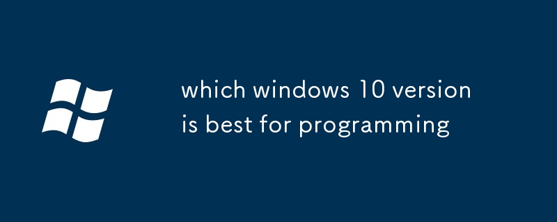 哪个 Windows 10 版本最适合编程