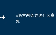 c语言两条竖线什么意思