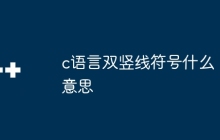 c语言双竖线符号什么意思