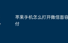 苹果手机怎么打开微信面容支付