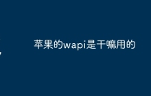 苹果的wapi是干嘛用的