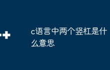 c语言中两个竖杠是什么意思