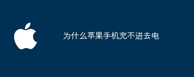 为什么苹果手机充不进去电