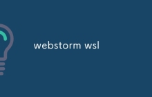 webstorm wsl