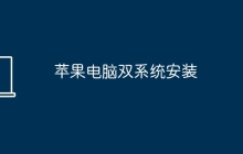 苹果电脑双系统安装