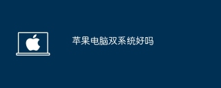 苹果电脑双系统好吗