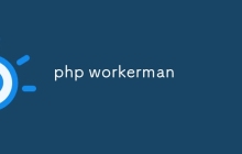 php workerman