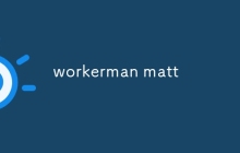workerman matt