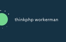 thinkphp workerman