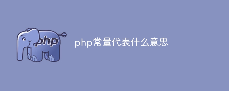 php常量代表什么意思
