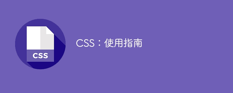 CSS：使用指南