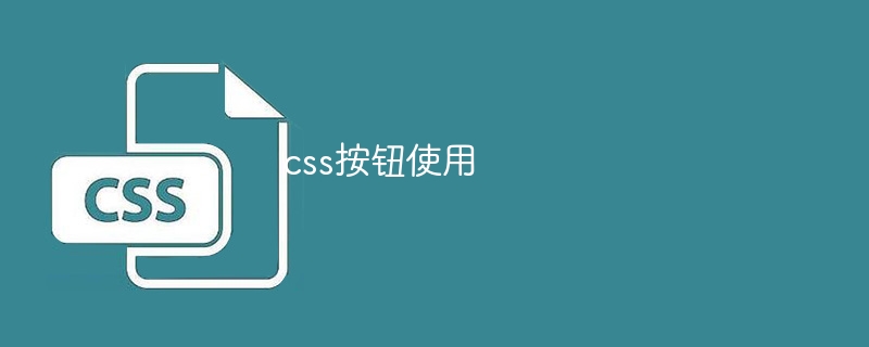 css按钮使用