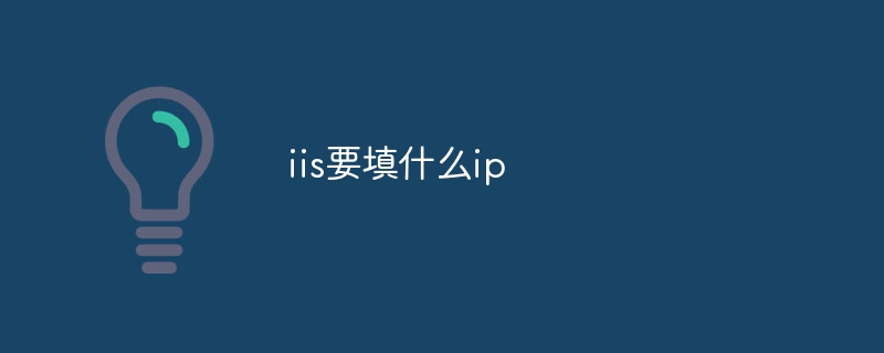 iis要填什么ip