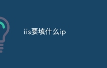 iis要填什么ip