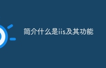 简介什么是iis及其功能