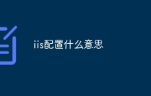 iis配置什么意思