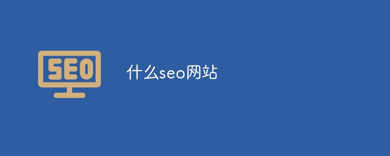 什么seo网站