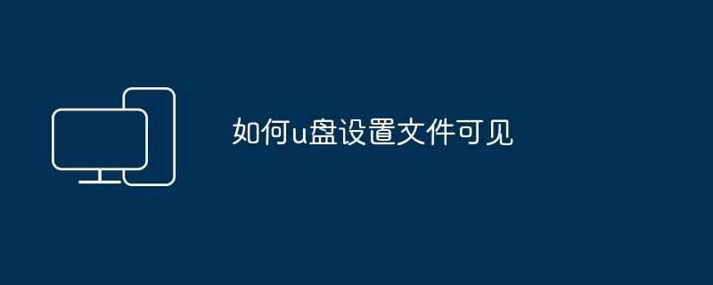 如何u盘设置文件可见