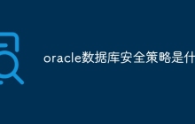 oracle数据库安全策略是什么