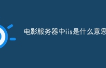 电影服务器中iis是什么意思