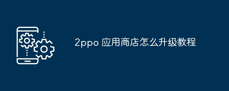 2ppo 应用商店怎么升级教程