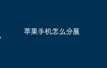 苹果手机怎么分展